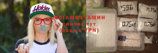 ECSTASY Богданович