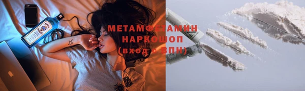 ECSTASY Богданович