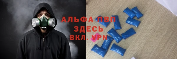 ECSTASY Богданович