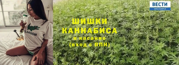 ECSTASY Богданович